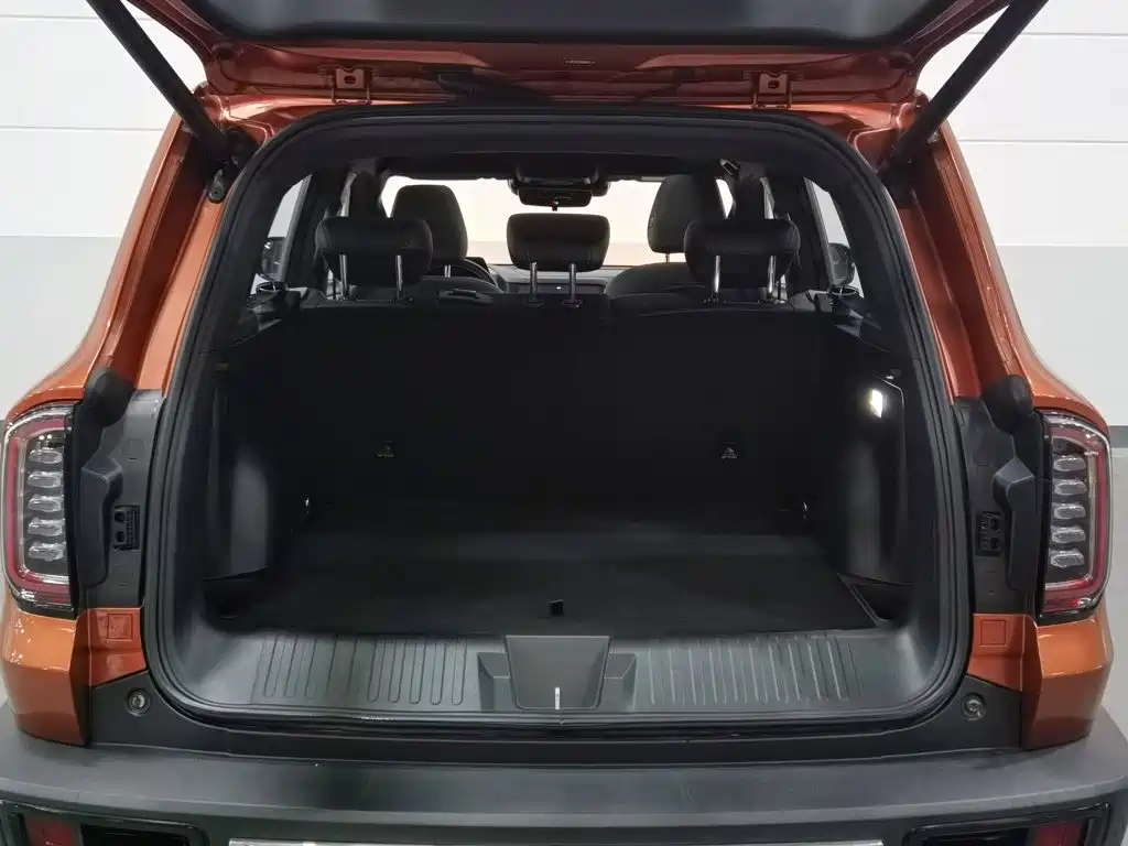 Haval Big Dog — фото 16