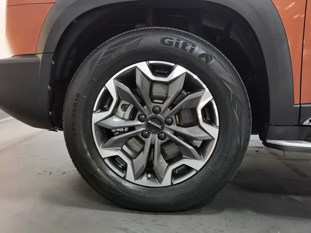 Haval Big Dog — фото 17