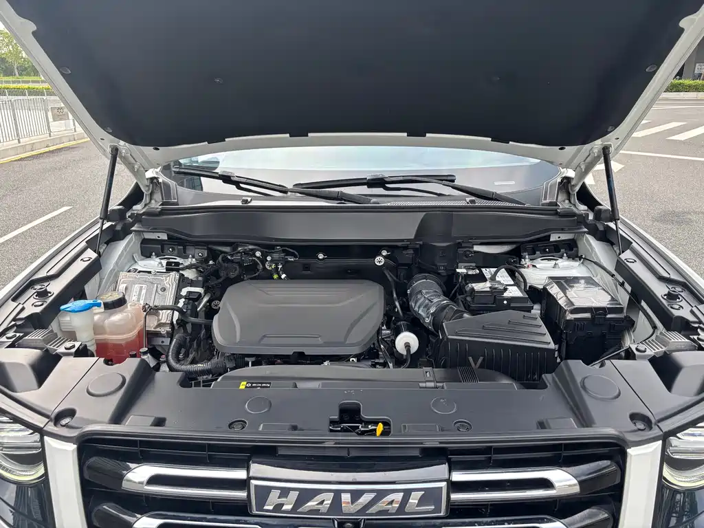 Haval Big Dog — фото 16
