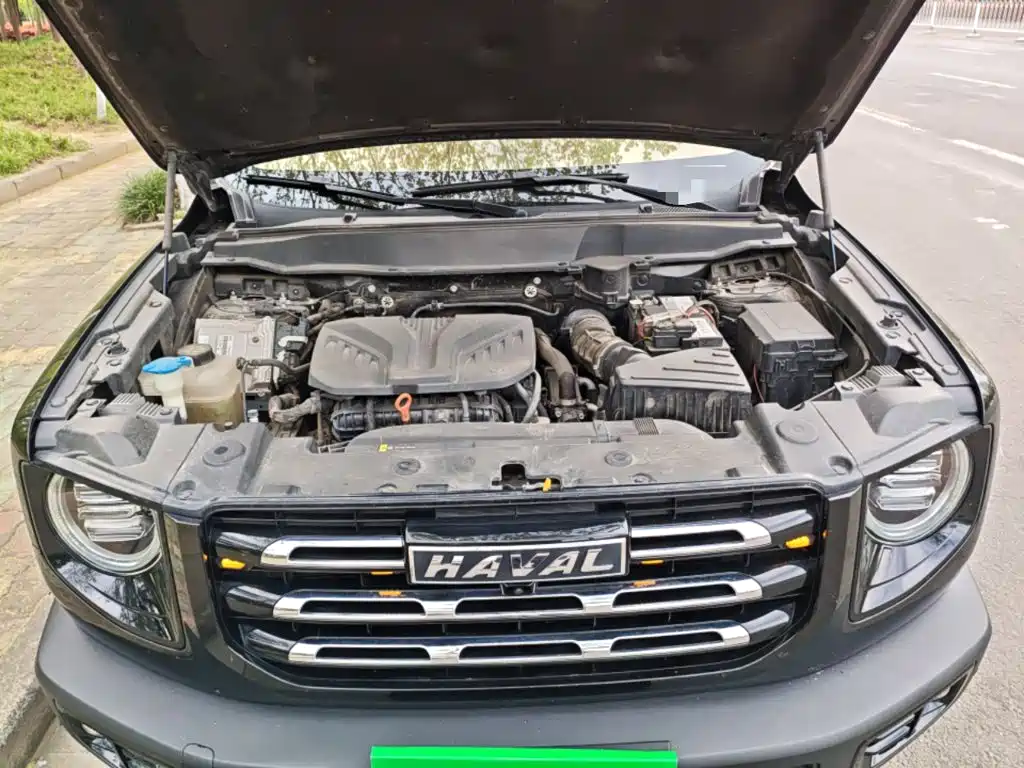 Haval Big Dog — фото 11