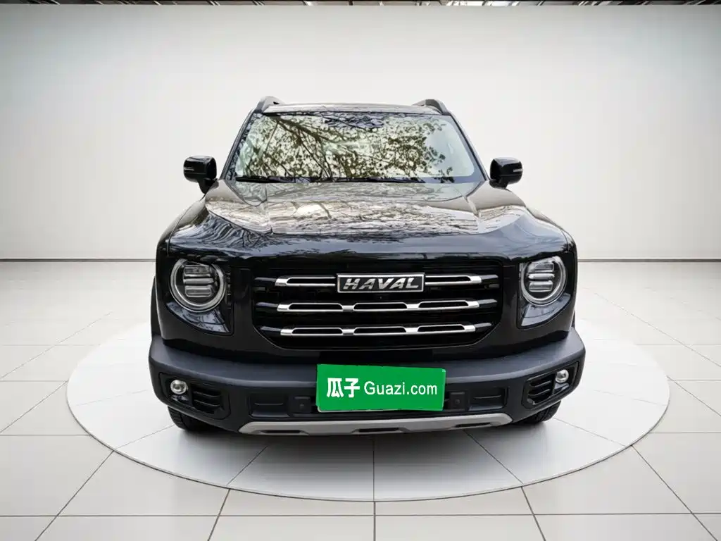 Haval Big Dog — фото 24