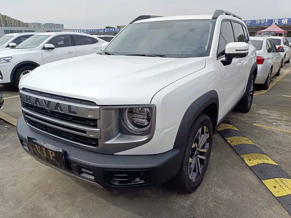 Haval Big Dog