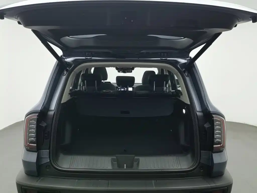 Haval Big Dog — фото 16