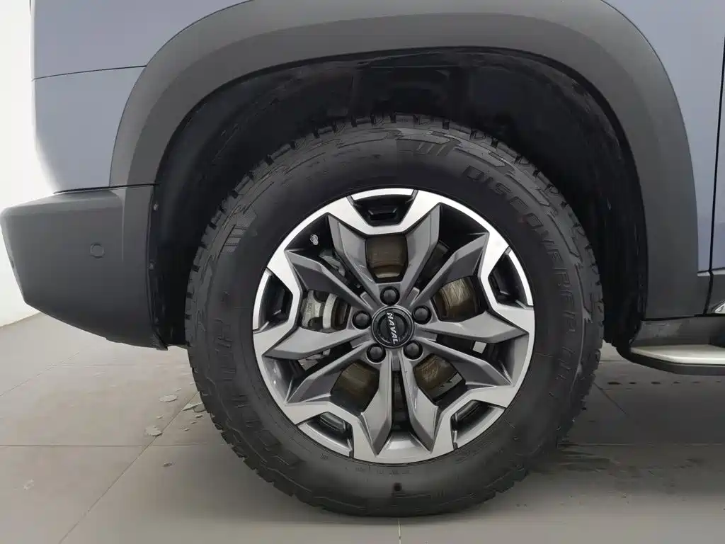 Haval Big Dog — фото 17