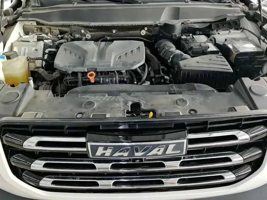 Haval Big Dog — фото 10