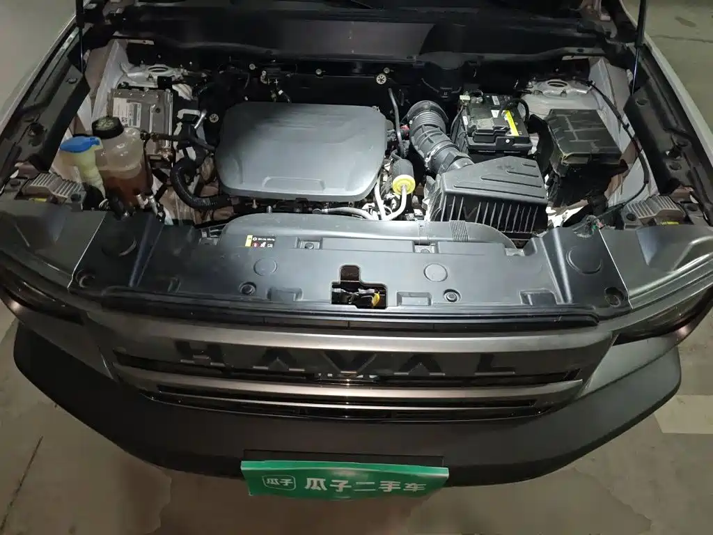 Haval Big Dog — фото 11