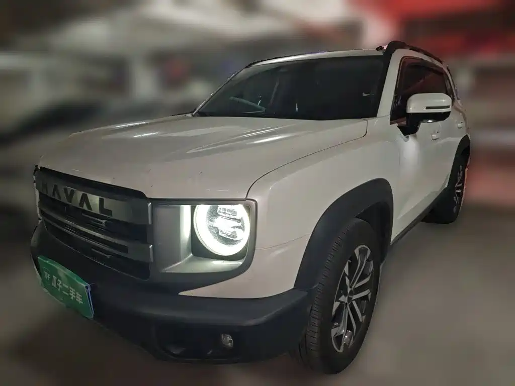 Haval Big Dog