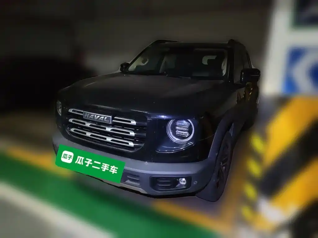 Haval Big Dog