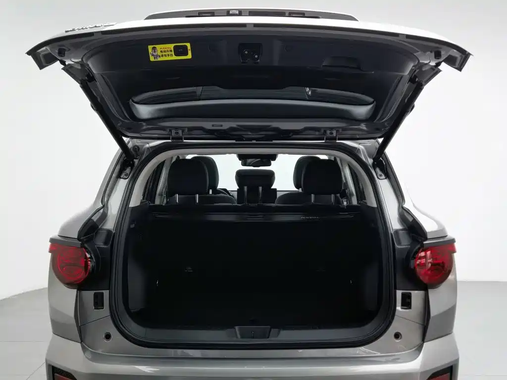 Haval Big Dog PLUS — фото 16