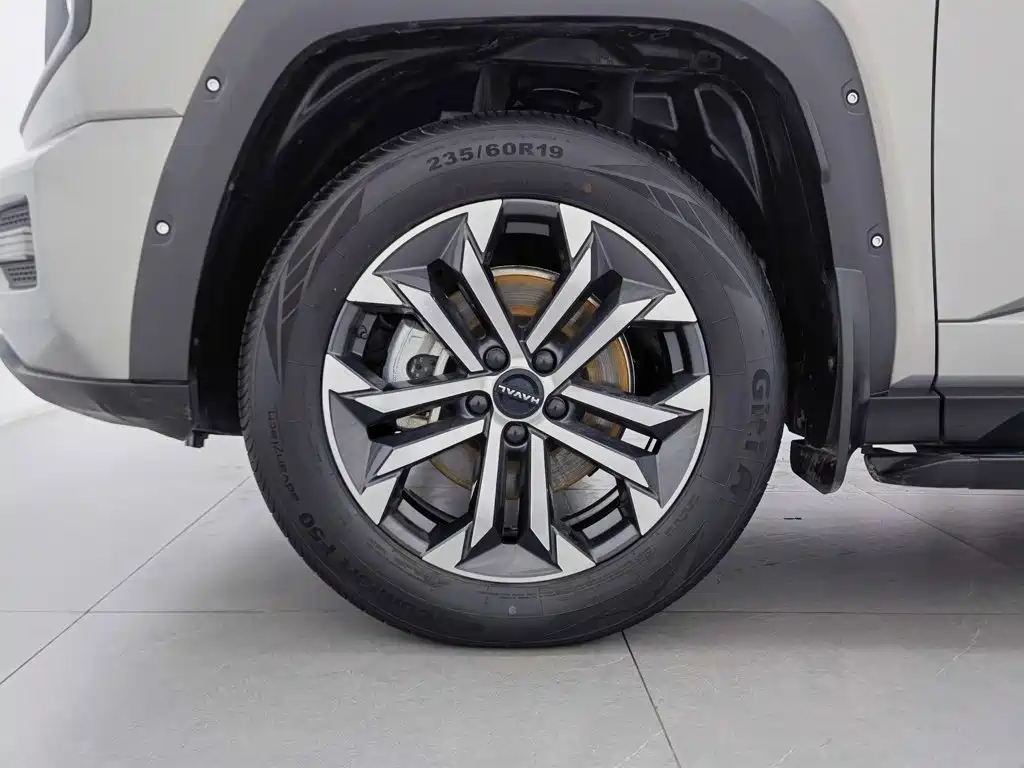 Haval Big Dog PLUS — фото 17