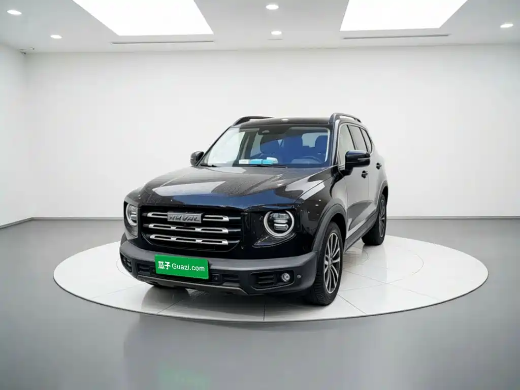 Haval Big Dog — фото 23