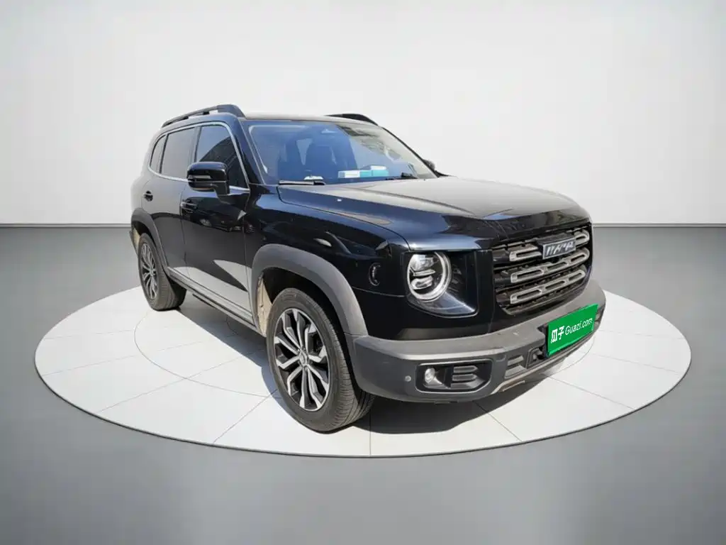Haval Big Dog — фото 24
