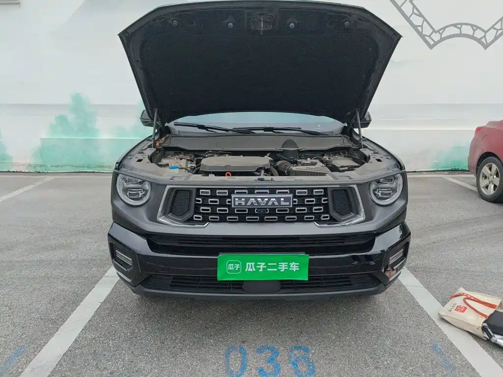 Haval Big Dog PLUS — фото 16