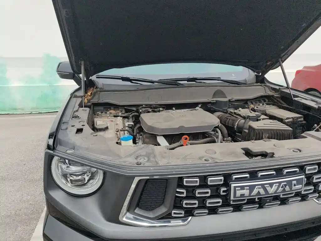 Haval Big Dog PLUS — фото 20