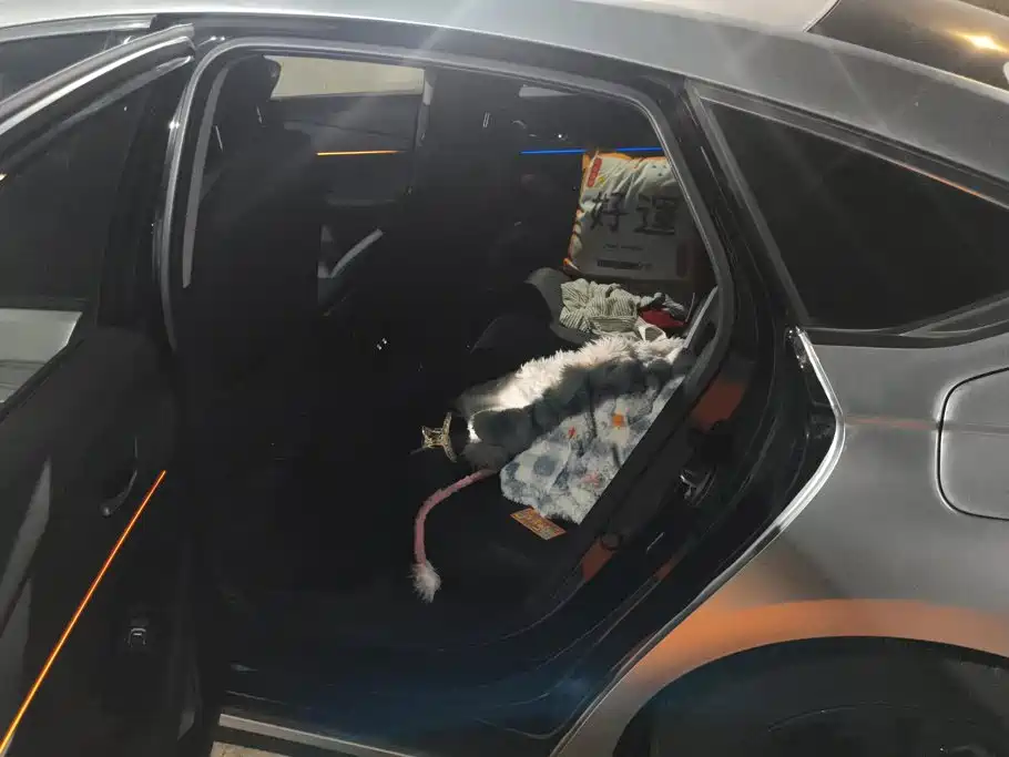 Honda Accord — фото 11