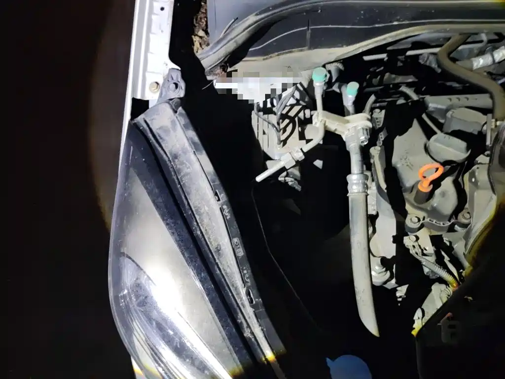 Honda Fit — фото 20