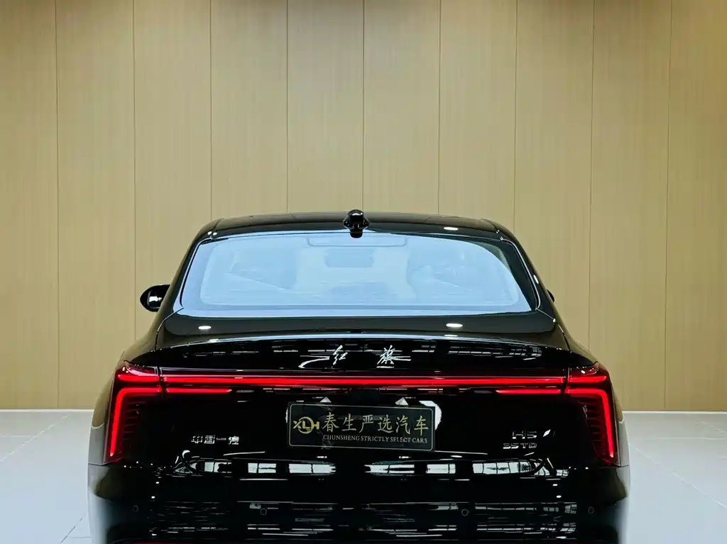 Hongqi Hongqi H5 — фото 10