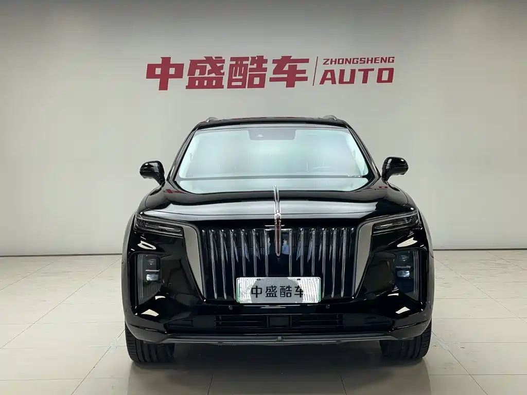 Hongqi Hongqi E-HS9 — фото 2