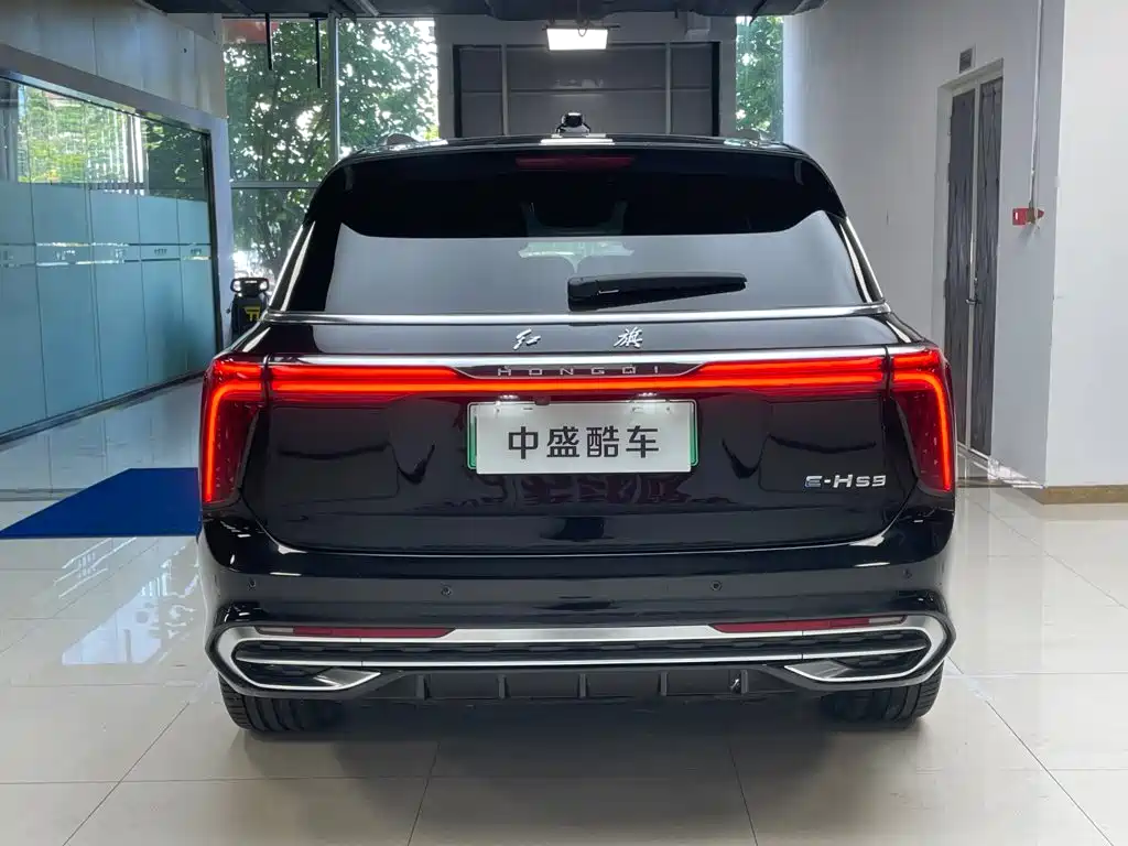 Hongqi Hongqi E-HS9 — фото 23