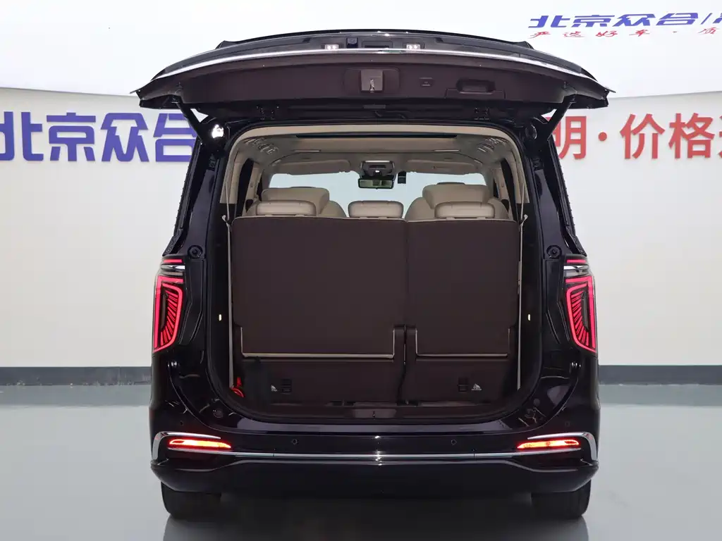 Hongqi Hongqi HQ9 — фото 25