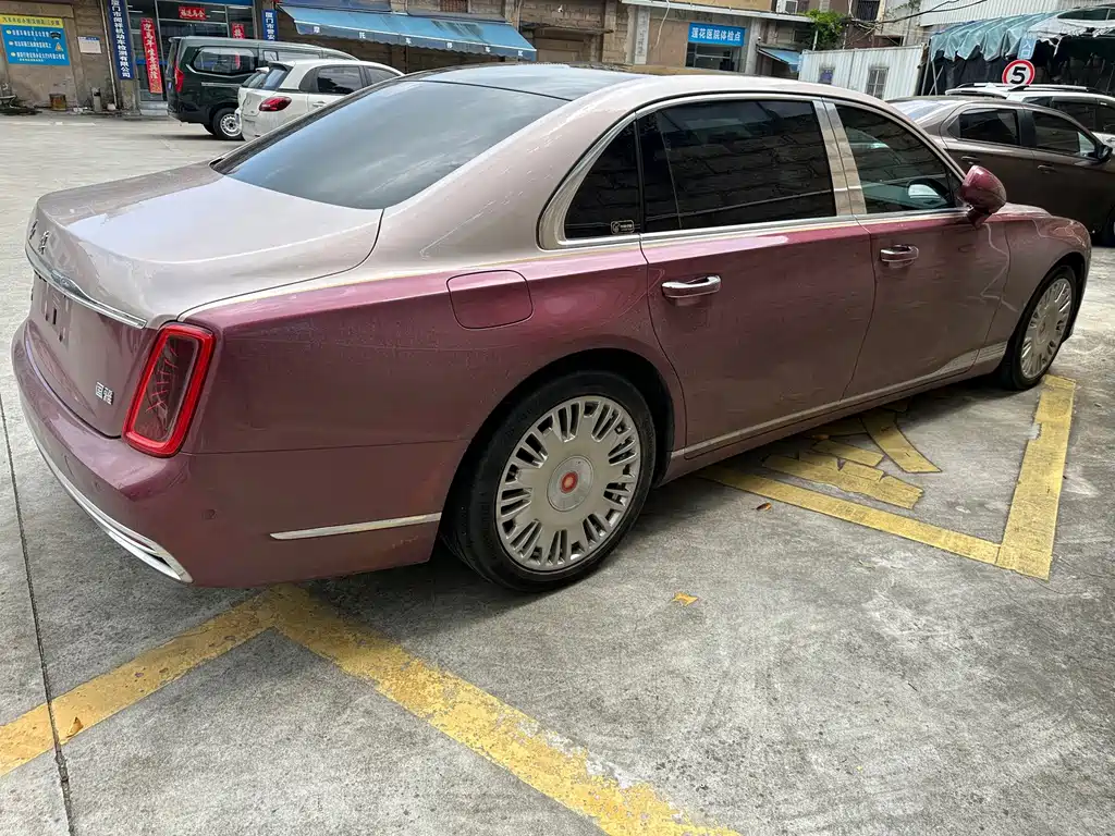 Hongqi Hongqi Golden Sunflower Guoya — фото 13