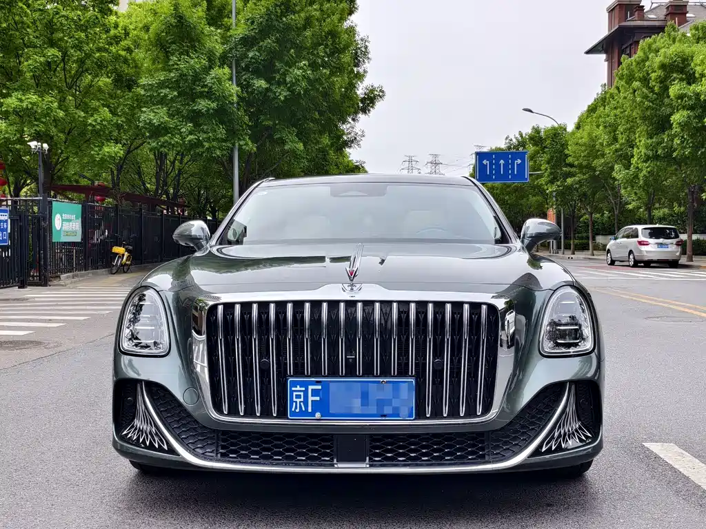 Hongqi Hongqi Golden Sunflower Guoya — фото 2
