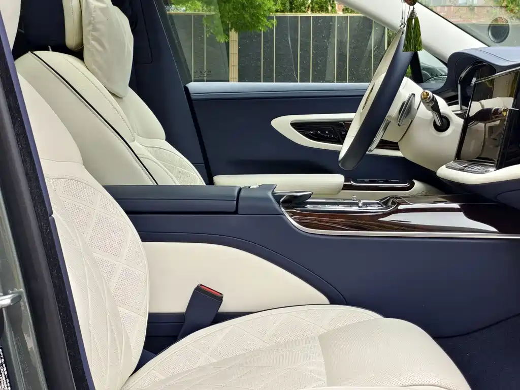 Hongqi Hongqi Golden Sunflower Guoya — фото 15