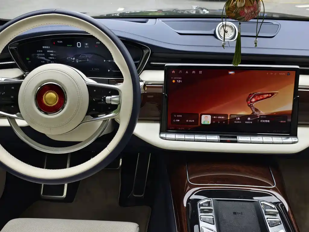 Hongqi Hongqi Golden Sunflower Guoya — фото 17