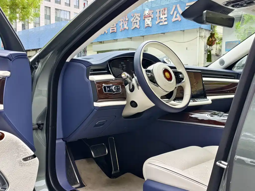 Hongqi Hongqi Golden Sunflower Guoya — фото 7