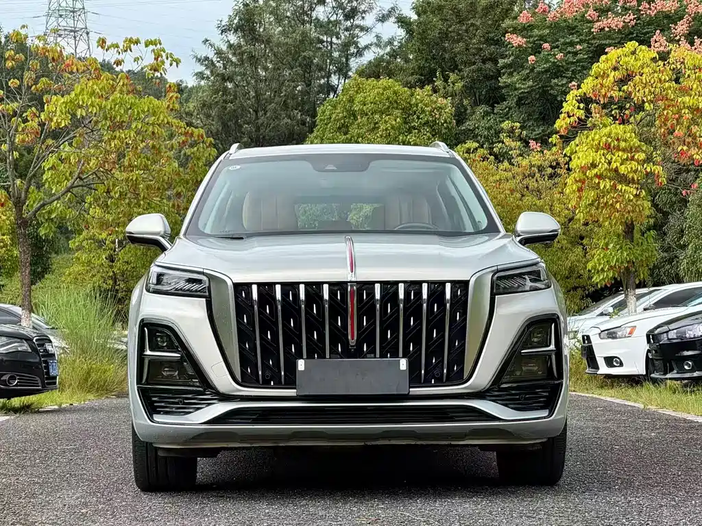Hongqi Hongqi HS5 — фото 2