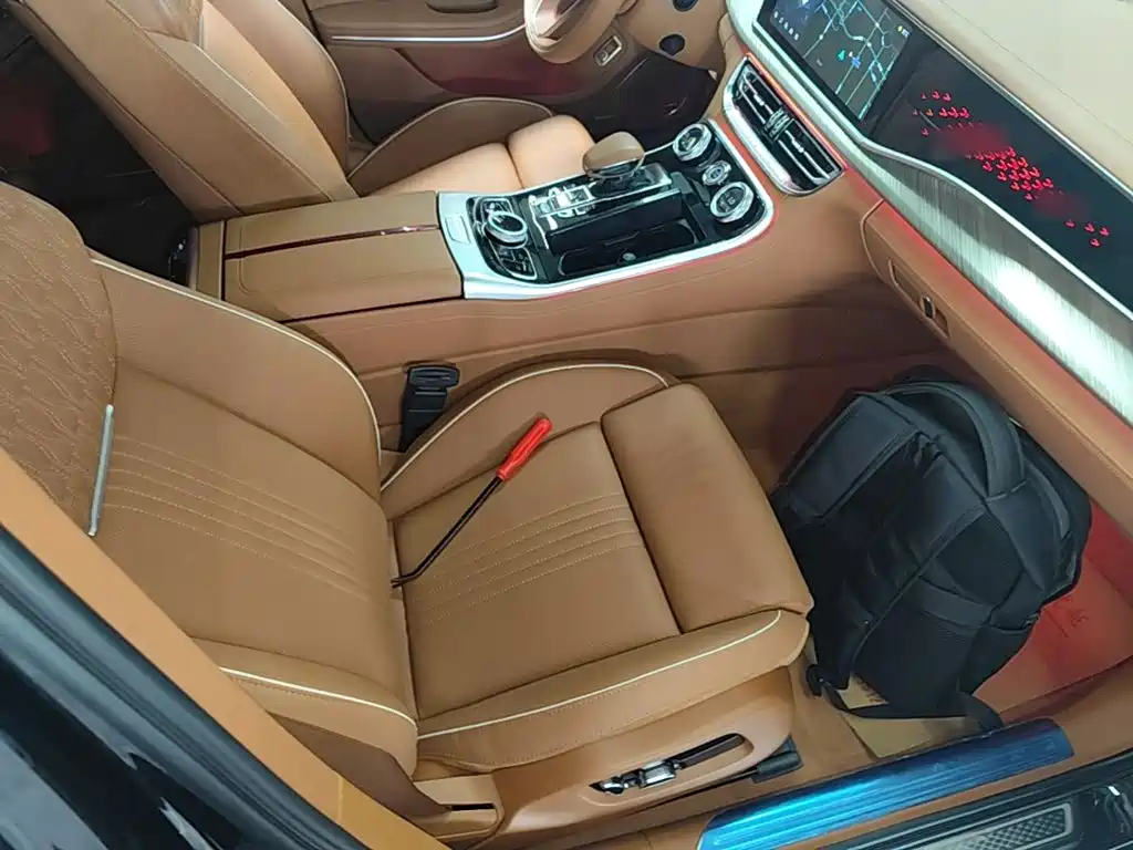 Hongqi Hongqi H9 — фото 25