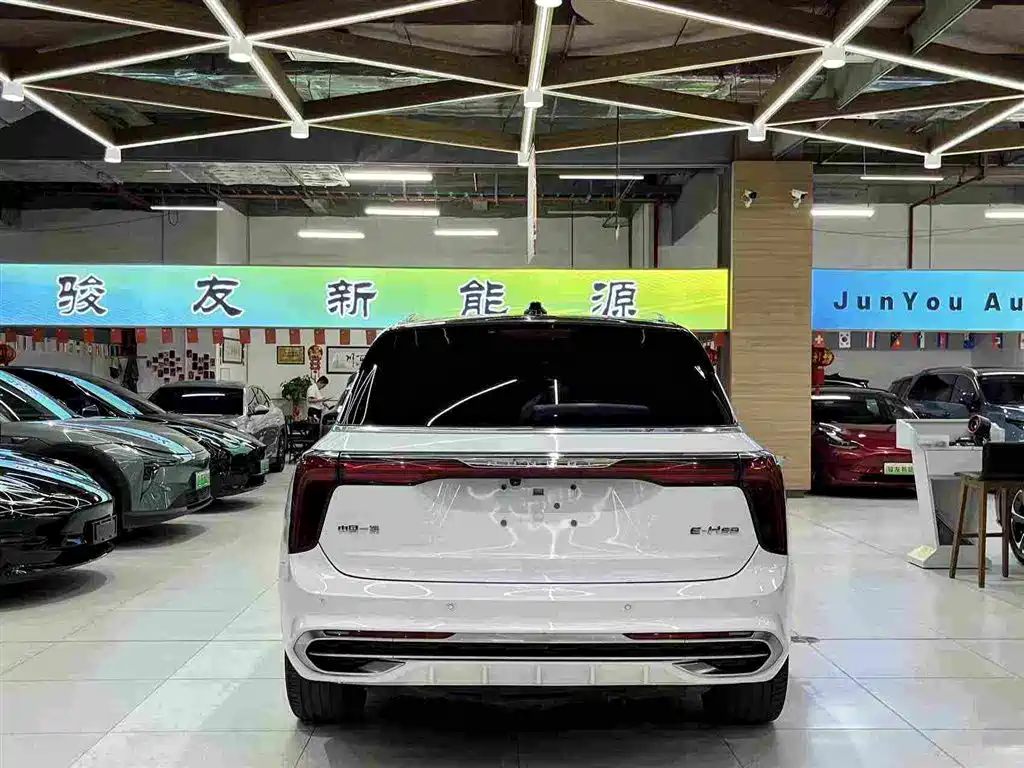 Hongqi Hongqi E-HS9 — фото 13