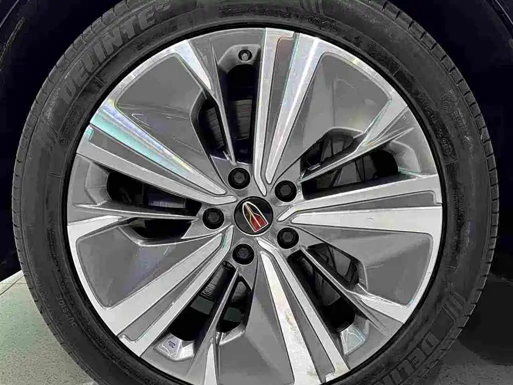 Hongqi Hongqi E-HS9 — фото 21