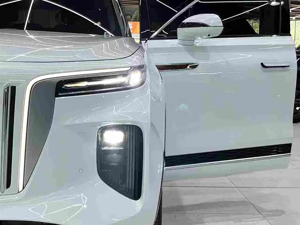 Hongqi Hongqi E-HS9 — фото 30