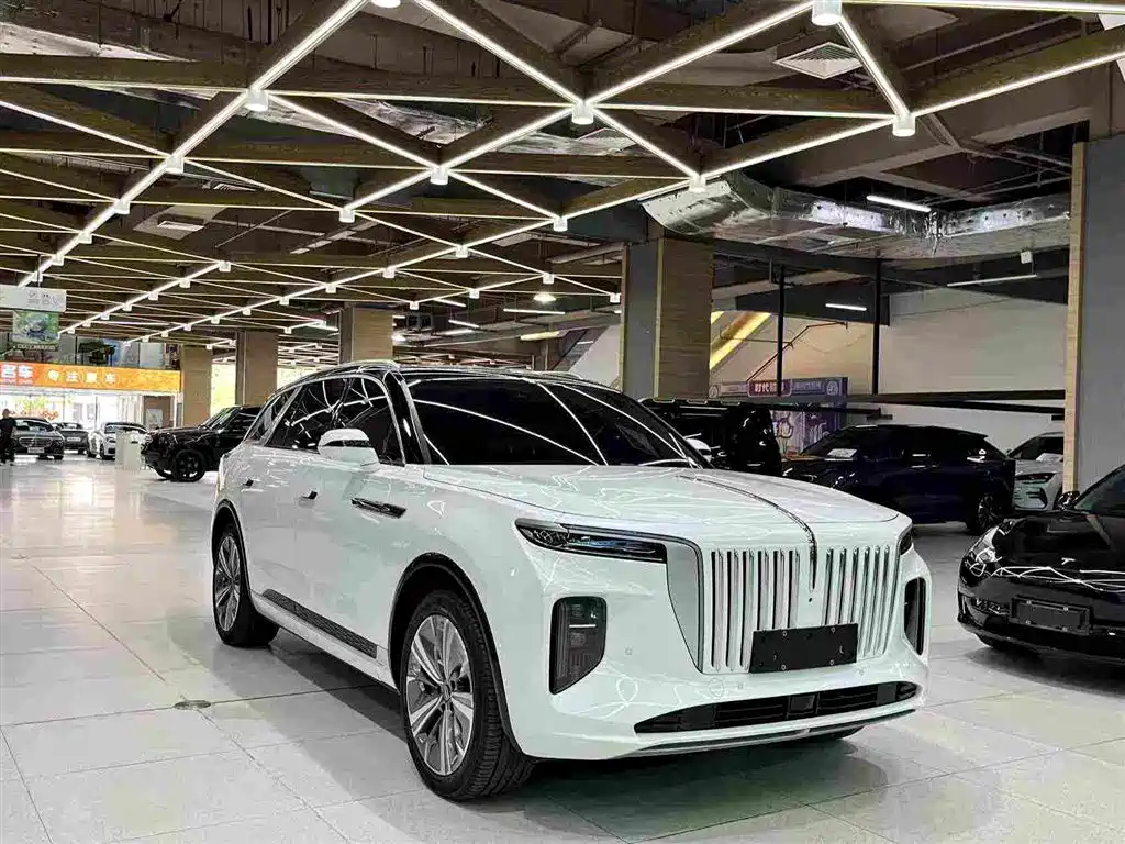 Hongqi Hongqi E-HS9 — фото 10