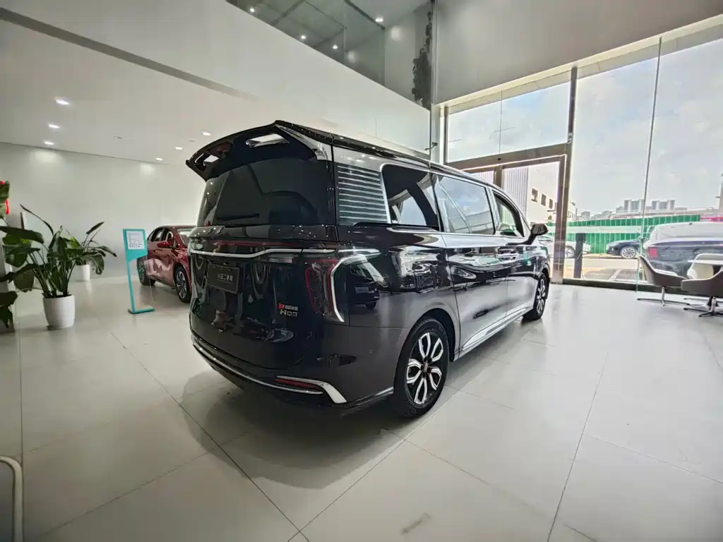 Hongqi Hongqi HQ9 — фото 23