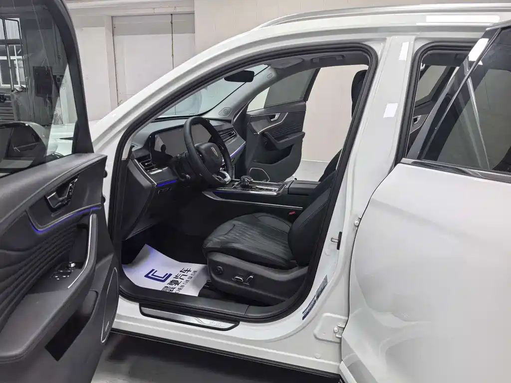 Hongqi Hongqi HS5 — фото 11
