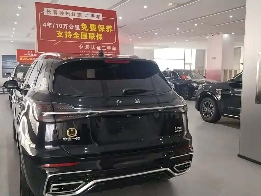 Hongqi Hongqi HS5 — фото 9