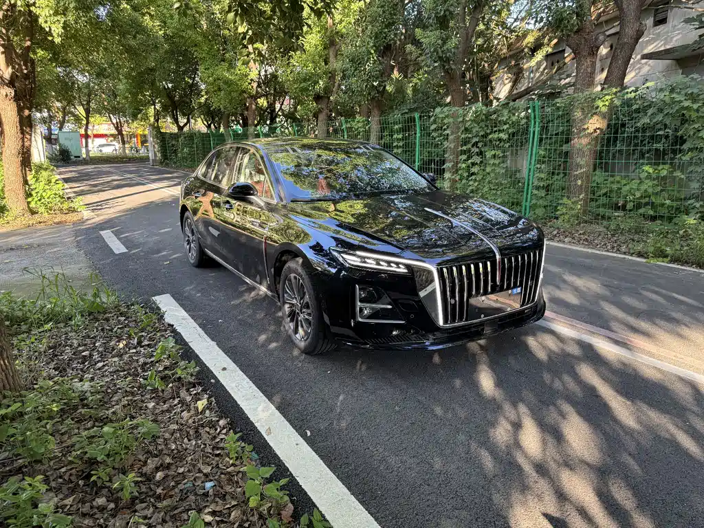 Hongqi Hongqi H5 — фото 2