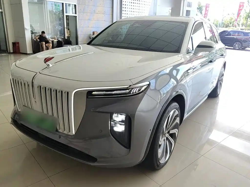 Hongqi Hongqi E-HS9 — фото 2