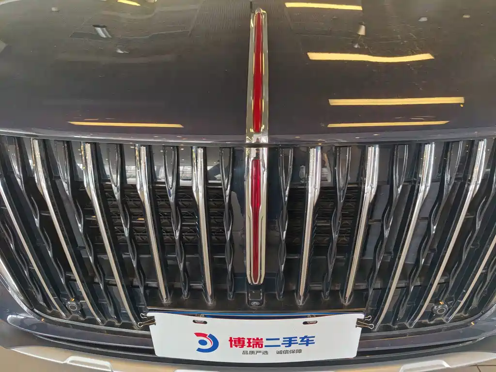 Hongqi Hongqi HS7 — фото 5