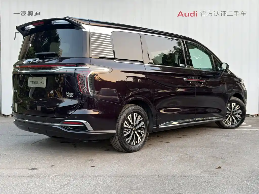 Hongqi Hongqi HQ9 — фото 4