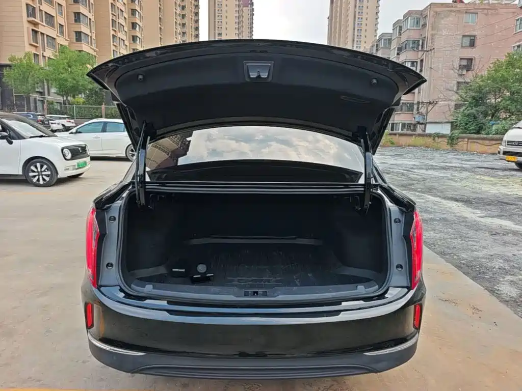 Hongqi Hongqi E-QM5 — фото 19