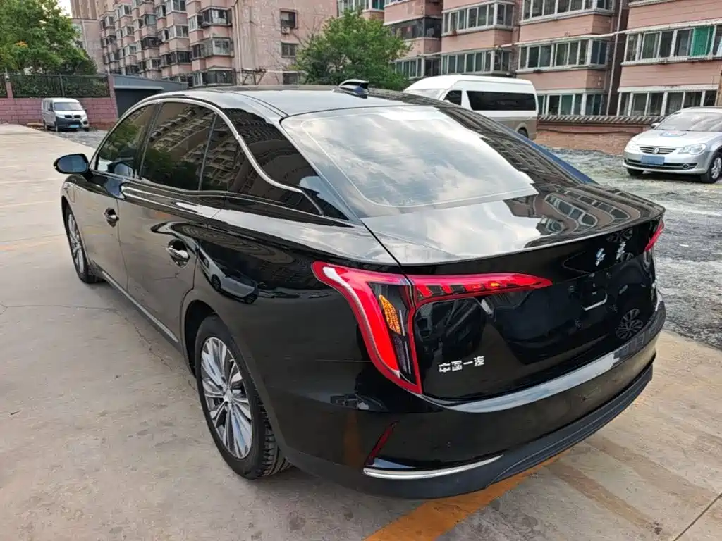Hongqi Hongqi E-QM5 — фото 5