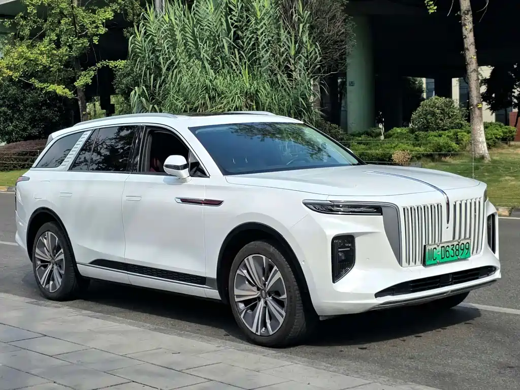 Hongqi Hongqi E-HS9 — фото 3
