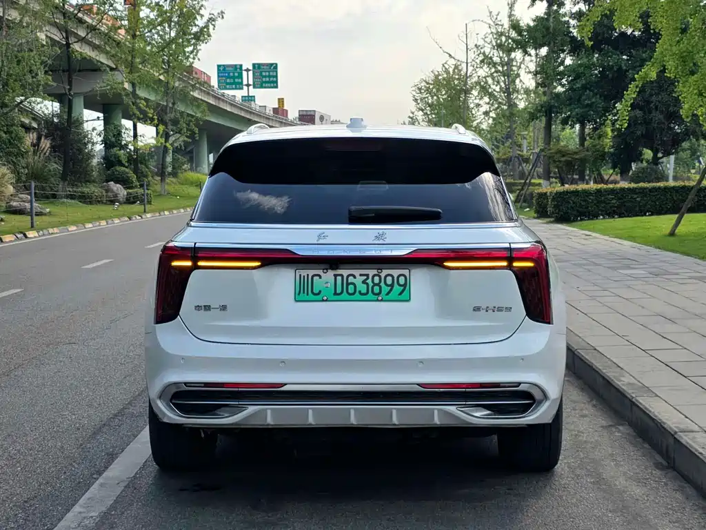 Hongqi Hongqi E-HS9 — фото 6