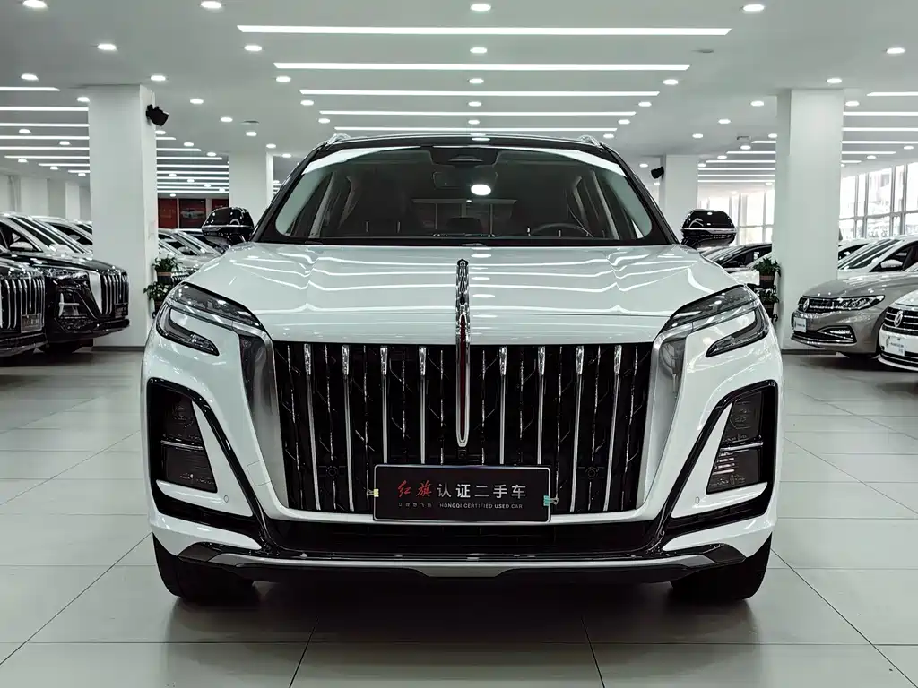Hongqi Hongqi HS3 — фото 2