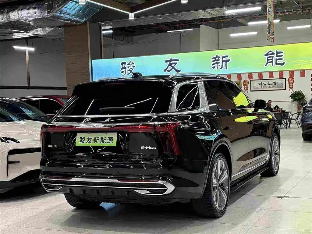 Hongqi Hongqi E-HS9 — фото 2