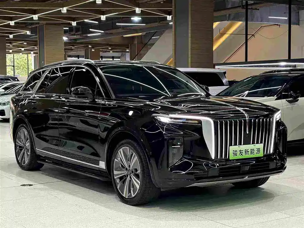 Hongqi Hongqi E-HS9 — фото 11