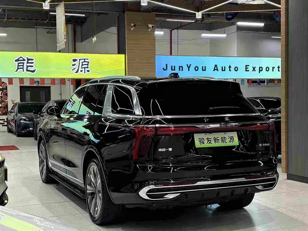 Hongqi Hongqi E-HS9 — фото 13